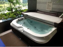 Marina Bay Suites (D1), Condominium #499387121